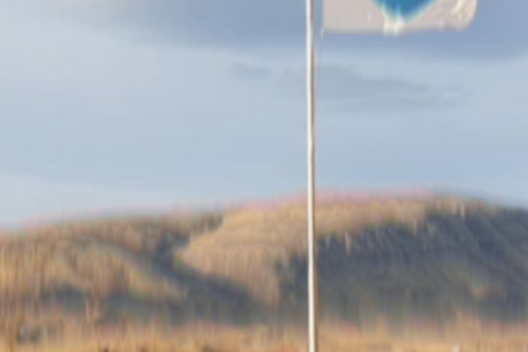 Stækka mynd