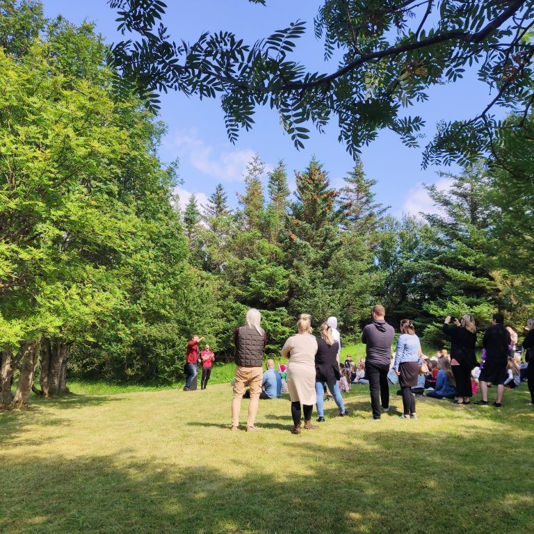 felagsgardur-katt-i-kjos-2021-12