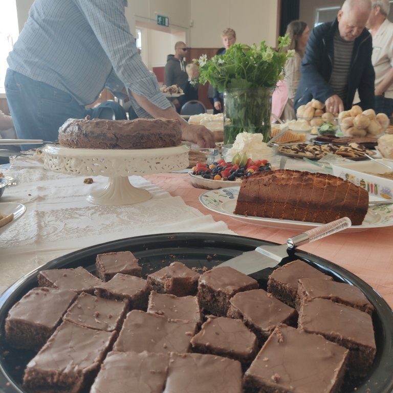 felagsgardur-katt-i-kjos-2021-16