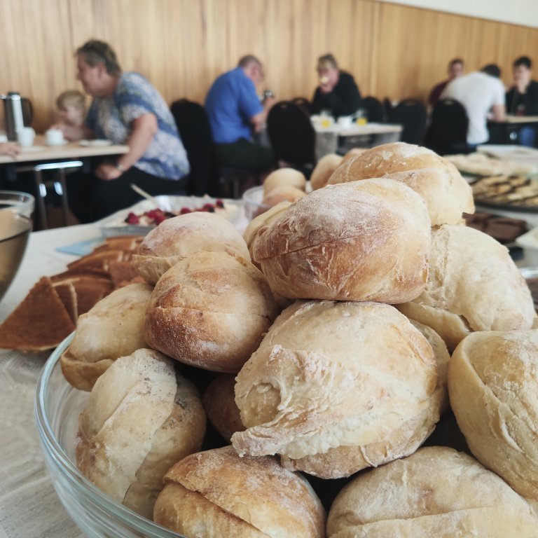 felagsgardur-katt-i-kjos-2021-17