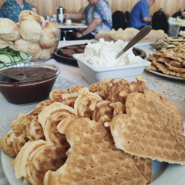 felagsgardur-katt-i-kjos-2021-18