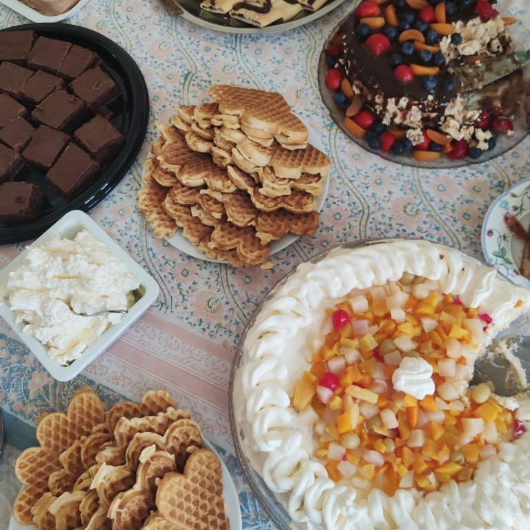 felagsgardur-katt-i-kjos-2021-19