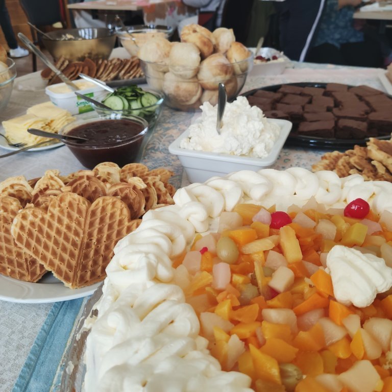 felagsgardur-katt-i-kjos-2021-21