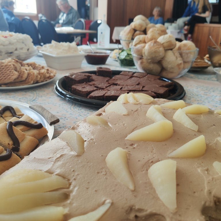 felagsgardur-katt-i-kjos-2021-22