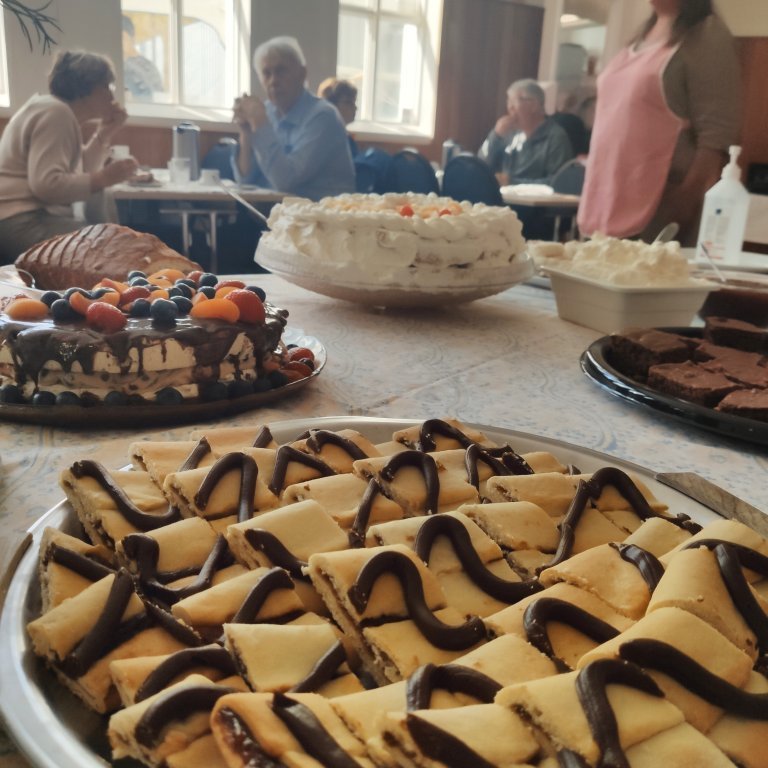 felagsgardur-katt-i-kjos-2021-23