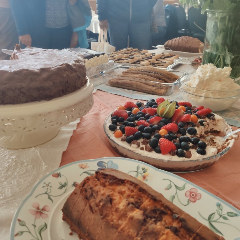 felagsgardur-katt-i-kjos-2021-25