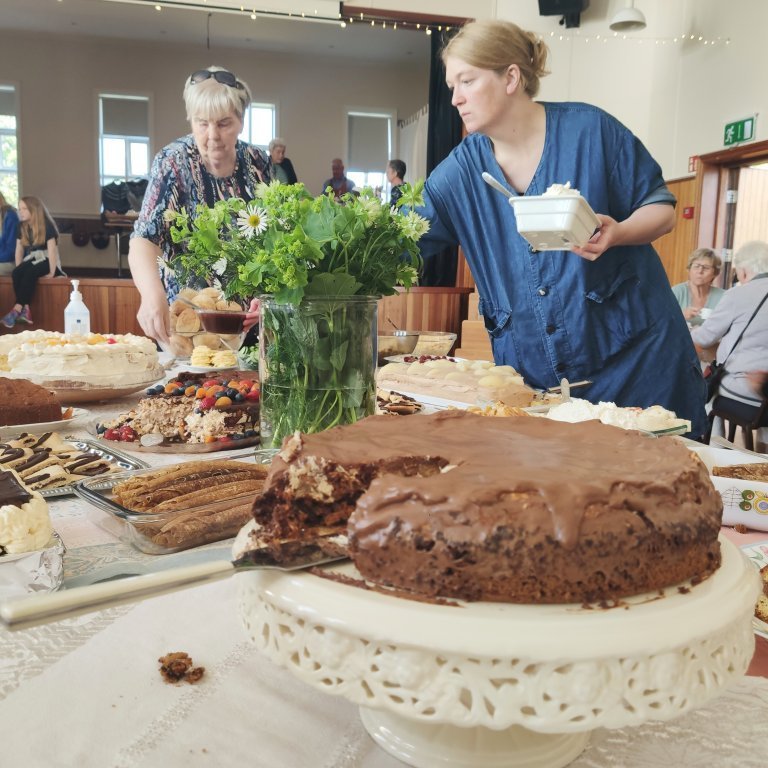 felagsgardur-katt-i-kjos-2021-28