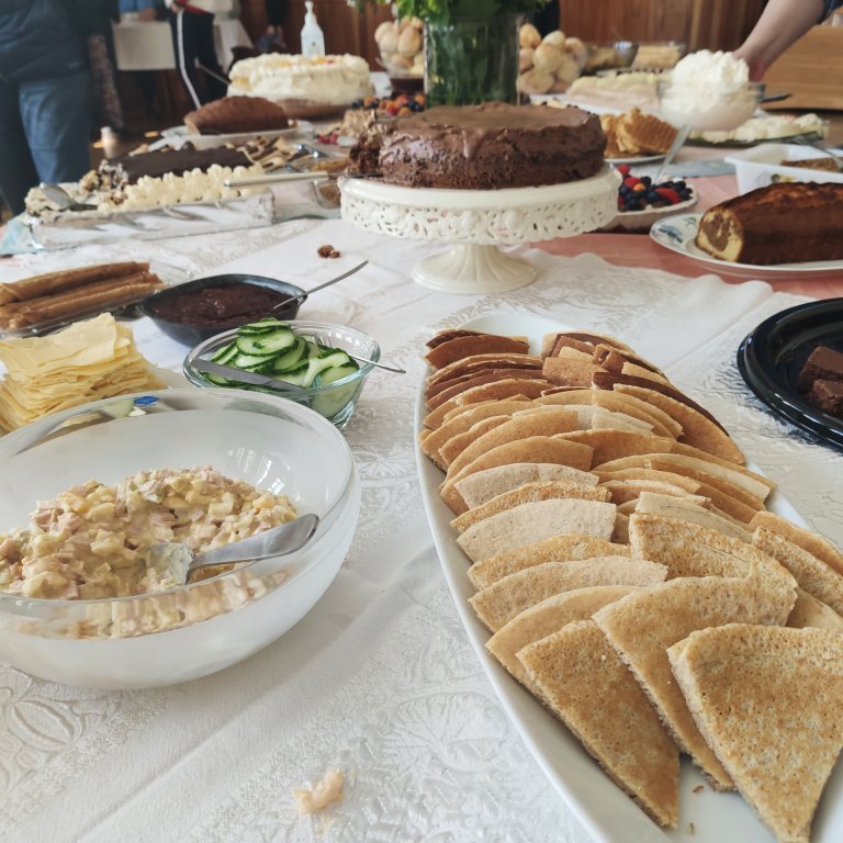 felagsgardur-katt-i-kjos-2021-29