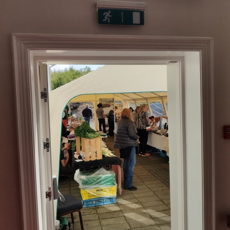 felagsgardur-katt-i-kjos-2021-32