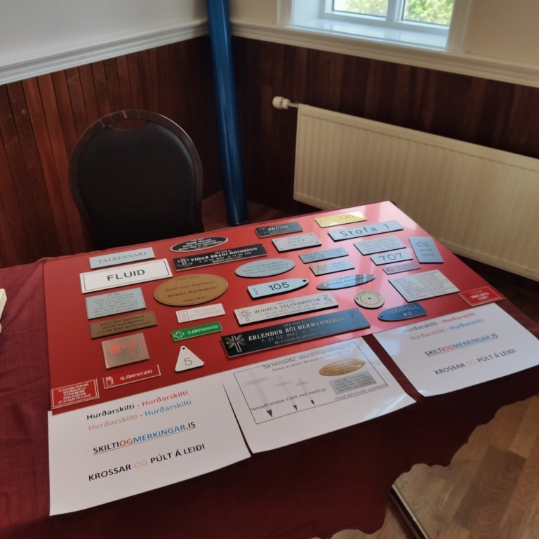 felagsgardur-katt-i-kjos-2021-33