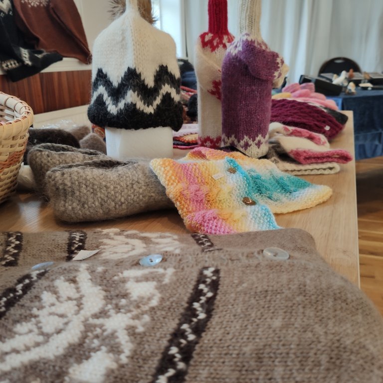 felagsgardur-katt-i-kjos-2021-34