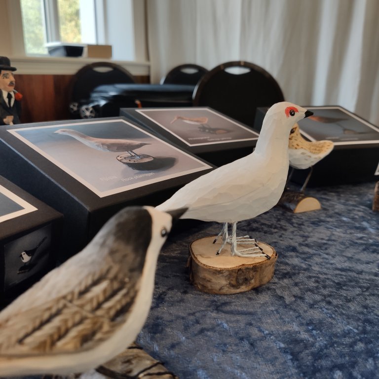 felagsgardur-katt-i-kjos-2021-35