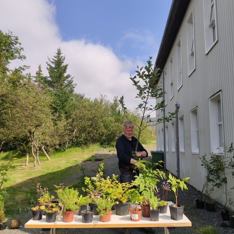 felagsgardur-katt-i-kjos-2021-39