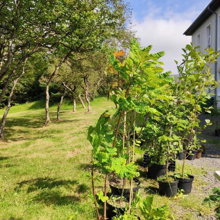 felagsgardur-katt-i-kjos-2021-40