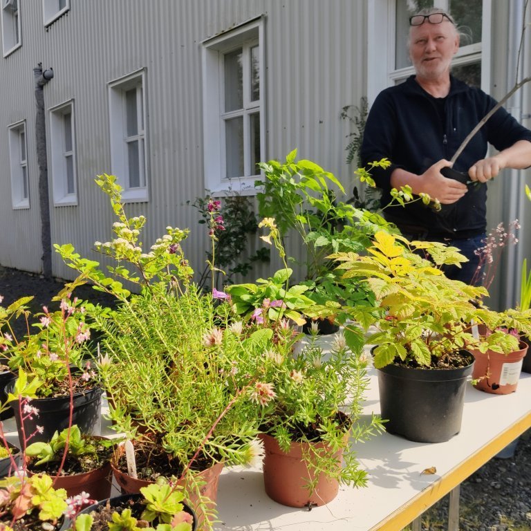 felagsgardur-katt-i-kjos-2021-41