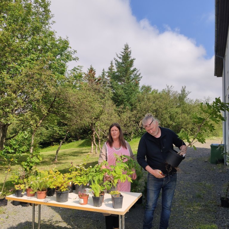 felagsgardur-katt-i-kjos-2021-42