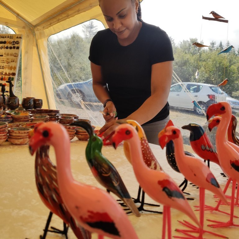 felagsgardur-katt-i-kjos-2021-49