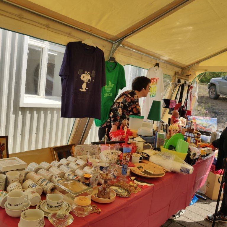 felagsgardur-katt-i-kjos-2021-52