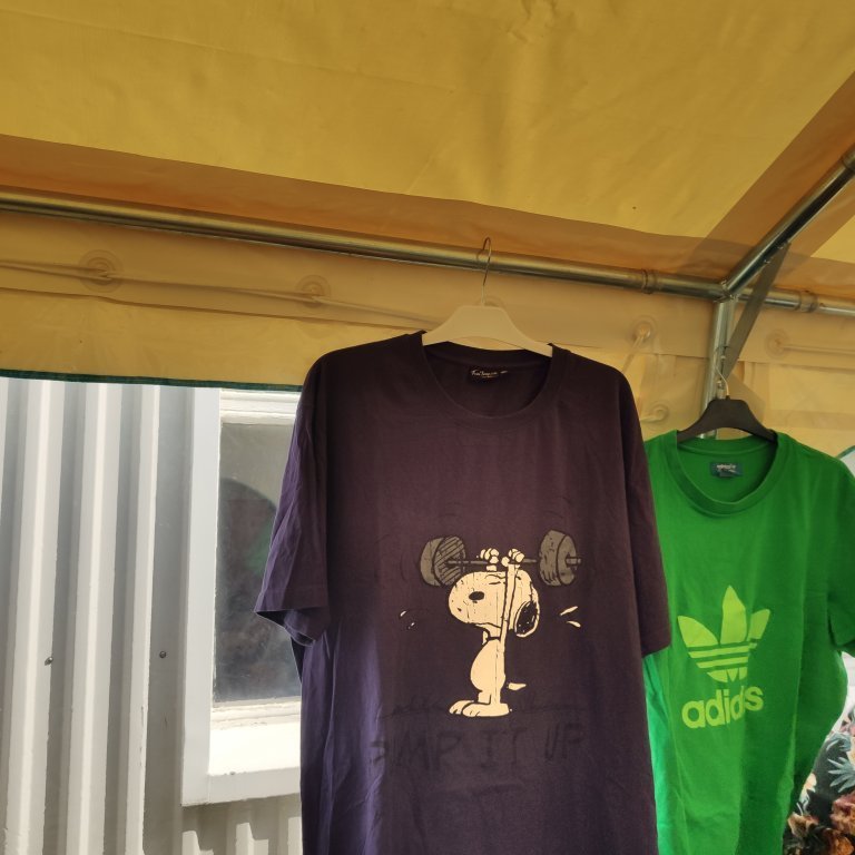 felagsgardur-katt-i-kjos-2021-53