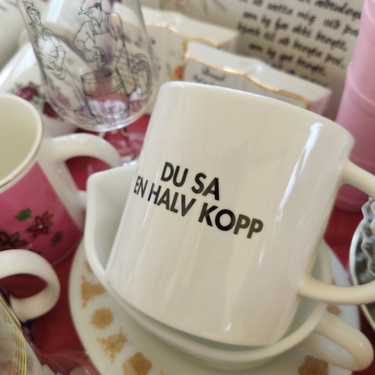 felagsgardur-katt-i-kjos-2021-54