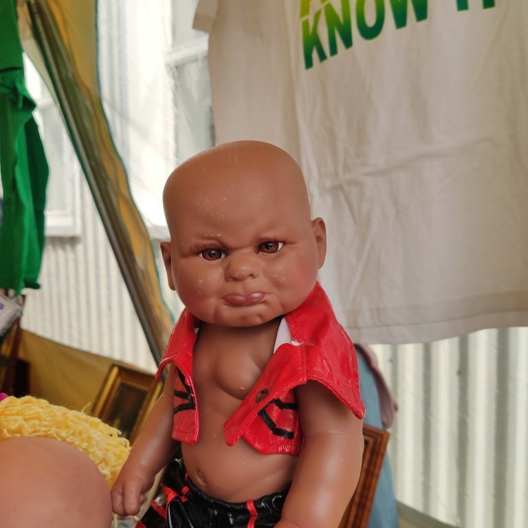 felagsgardur-katt-i-kjos-2021-55