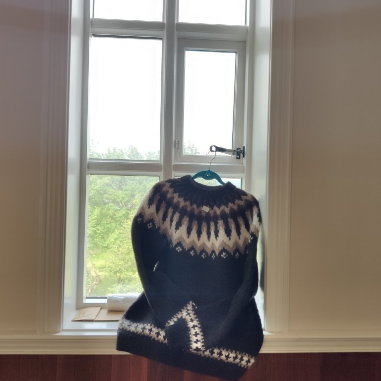 felagsgardur-katt-i-kjos-2021-58