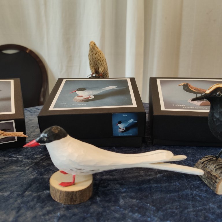 felagsgardur-katt-i-kjos-2021-60