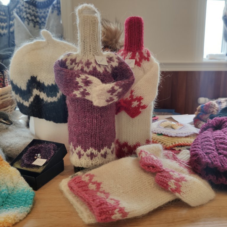 felagsgardur-katt-i-kjos-2021-61