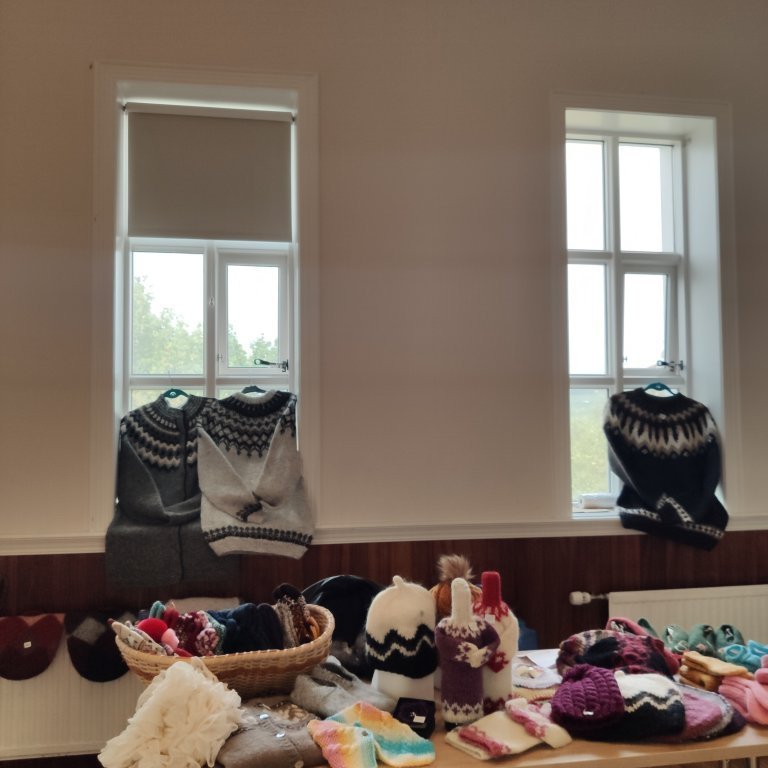 felagsgardur-katt-i-kjos-2021-62