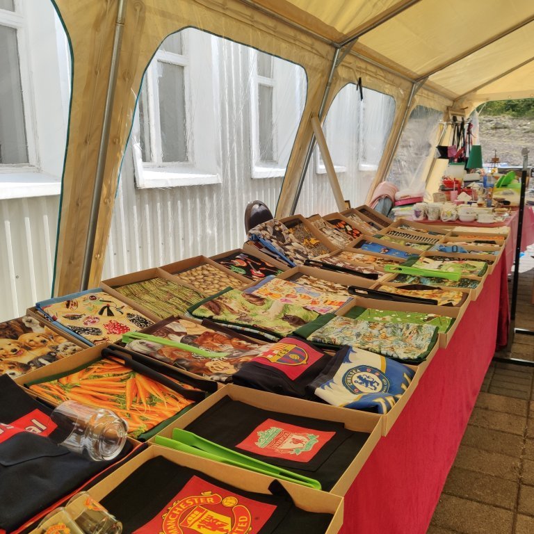 felagsgardur-katt-i-kjos-2021-66