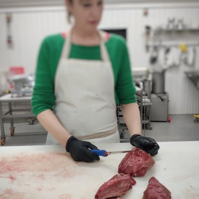 katt-i-kjos-2021-10jpg