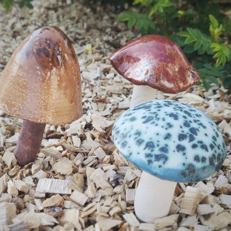 katt-i-kjos-2021-7jpg