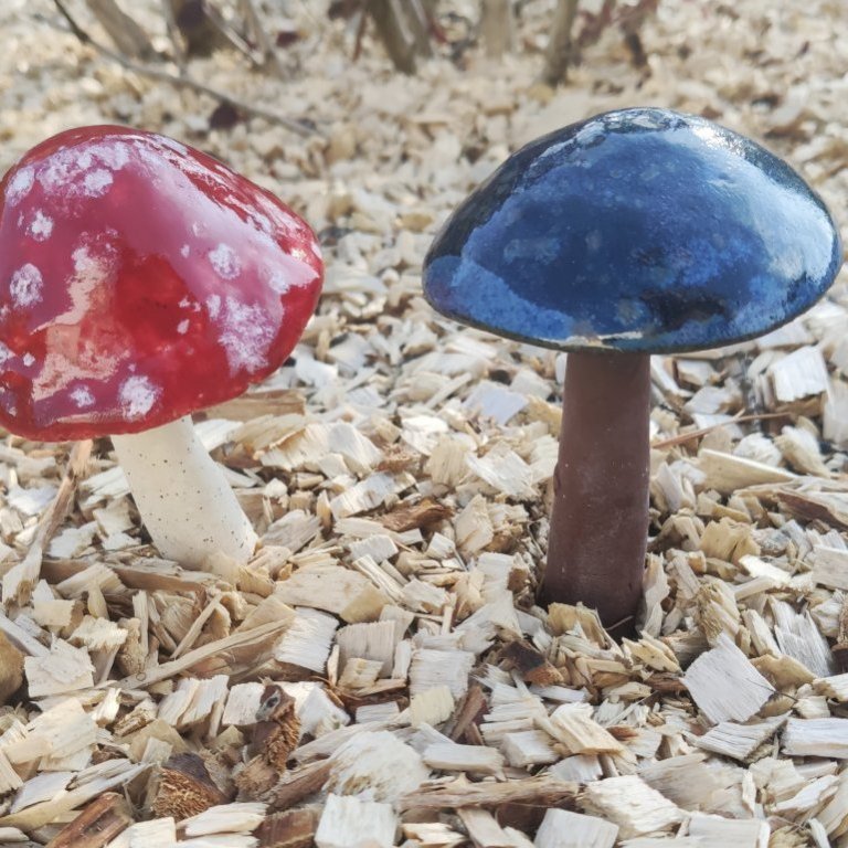 katt-i-kjos-2021-8jpg