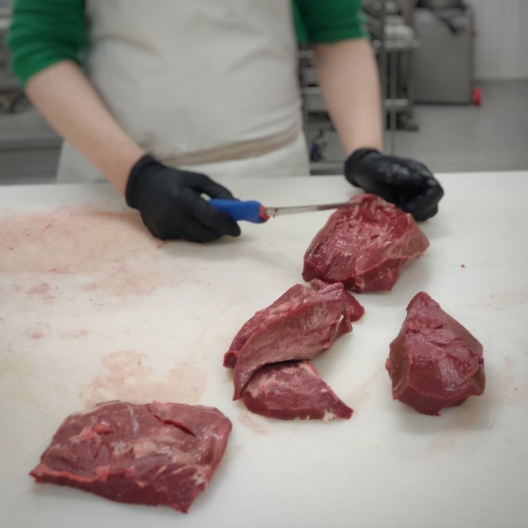 katt-i-kjos-2021-9jpg