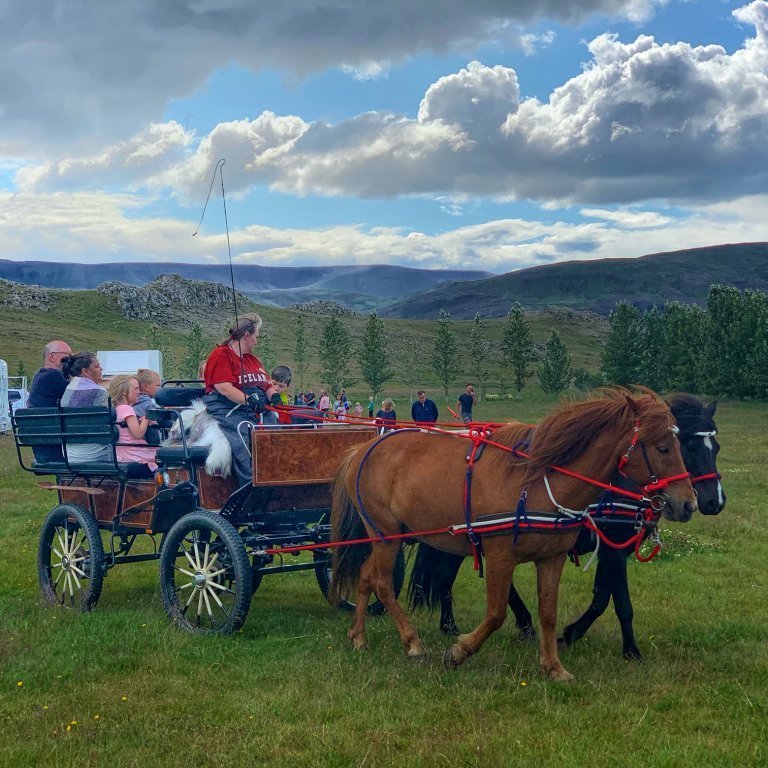 Ferð með hestvagni við Félagsgarð
