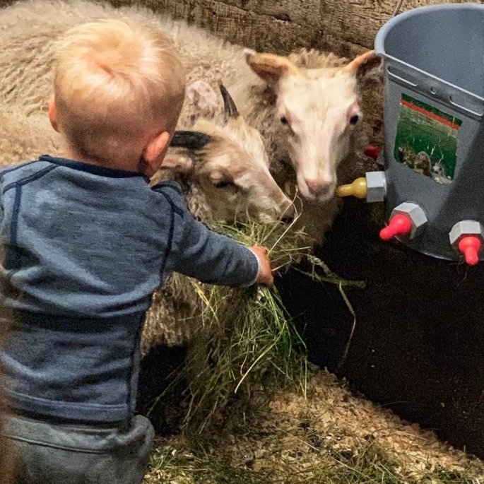 Dýragarðurinn í Flekkudal