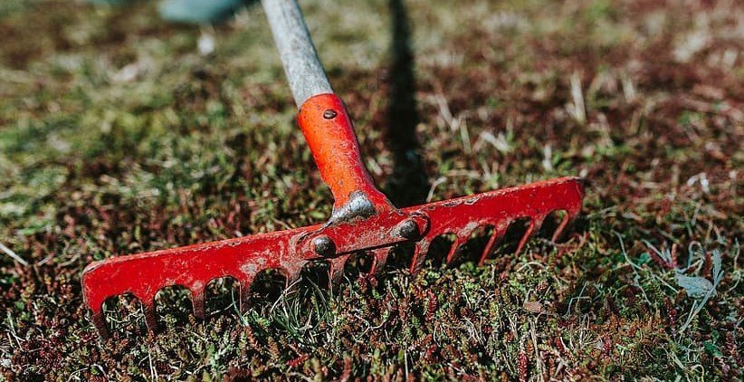 Opnað fyrir umsóknir í sumarstörf fyrir ungmenni 17-19 ára sumarið 2022