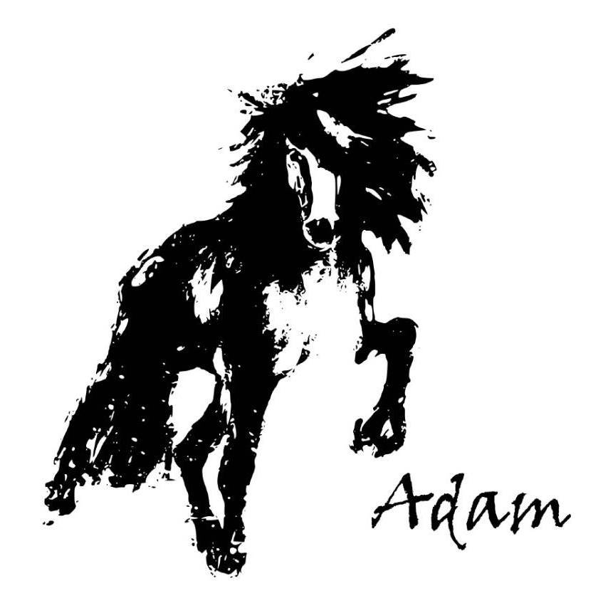 Aðalfundur Hestamannafélagsins Adams