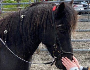 Aðalafundur Hestamannafélagsins Adams