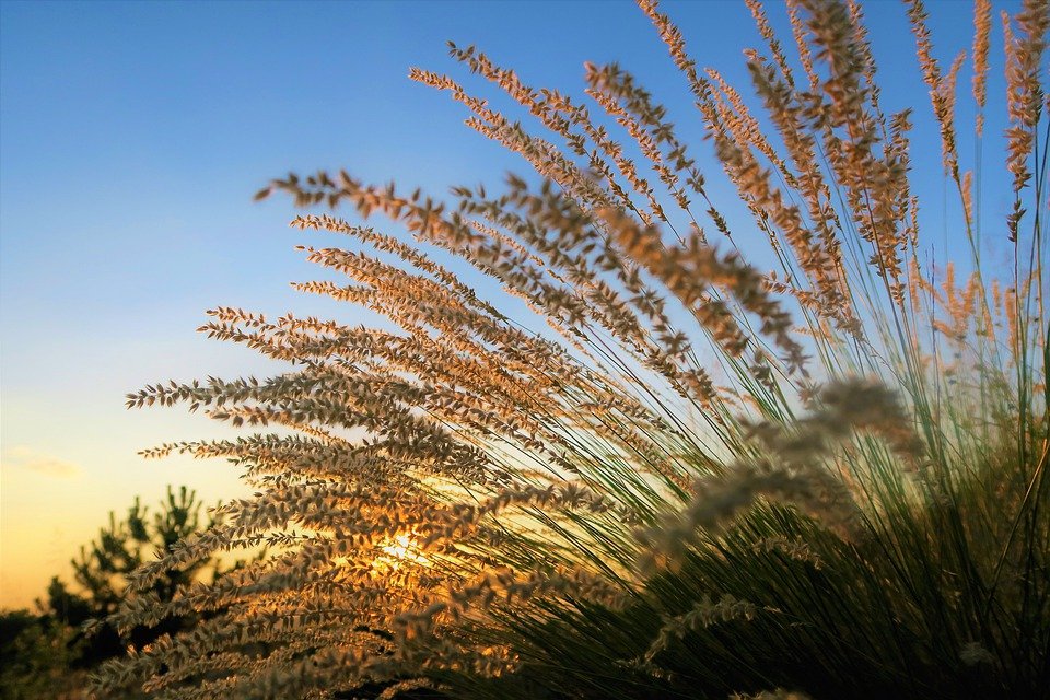Aðalfundur Búnaðarfélags Kjósarhrepps