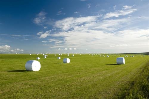 Tilkynning frá kjörstjórn Kjósarhrepps