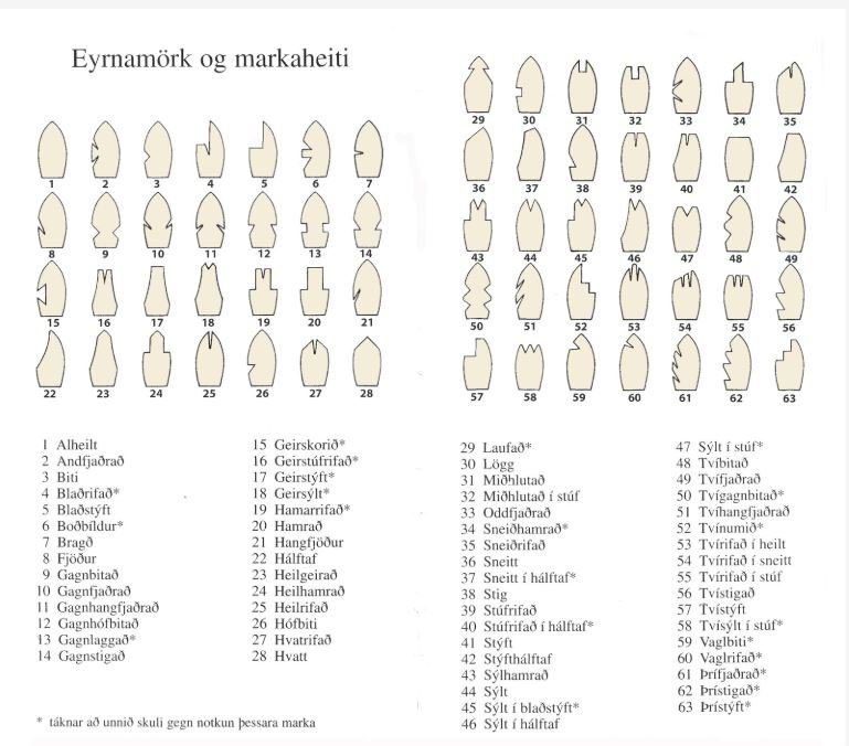 Á meðal þess fáa sem haldist hefur svo til óbreytt frá upphafi byggðar á Íslandi er notkun marka.
