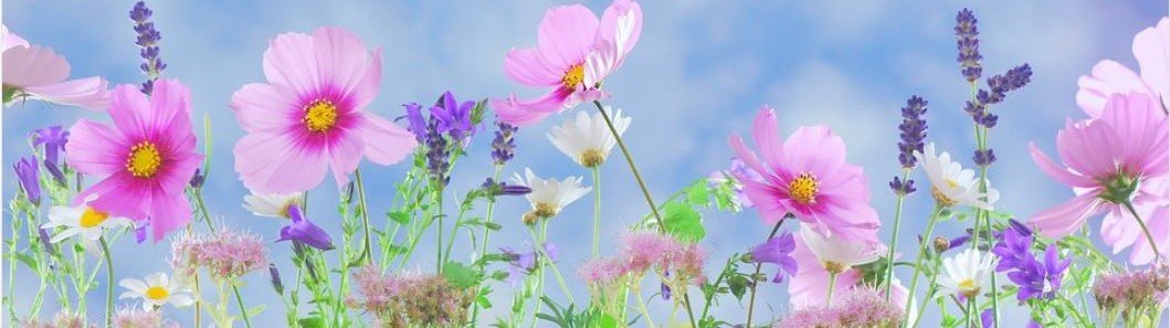 Húsmæðraorlof Gullbringu- og Kjósarsýslu