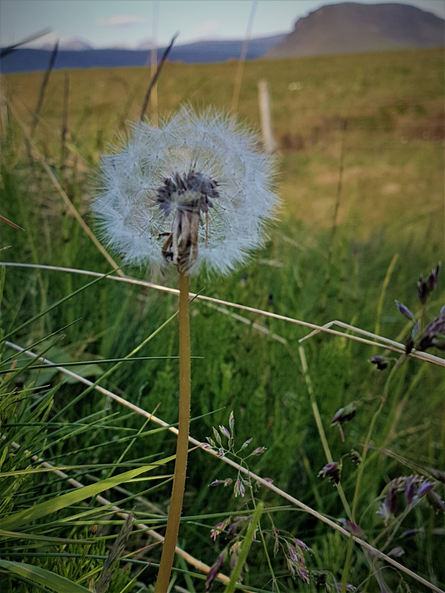 Rafmagnsleysi í Kjósarskarði í kvöld