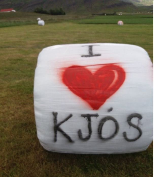 Hátíðarhöld sumarið 2020 falla niður