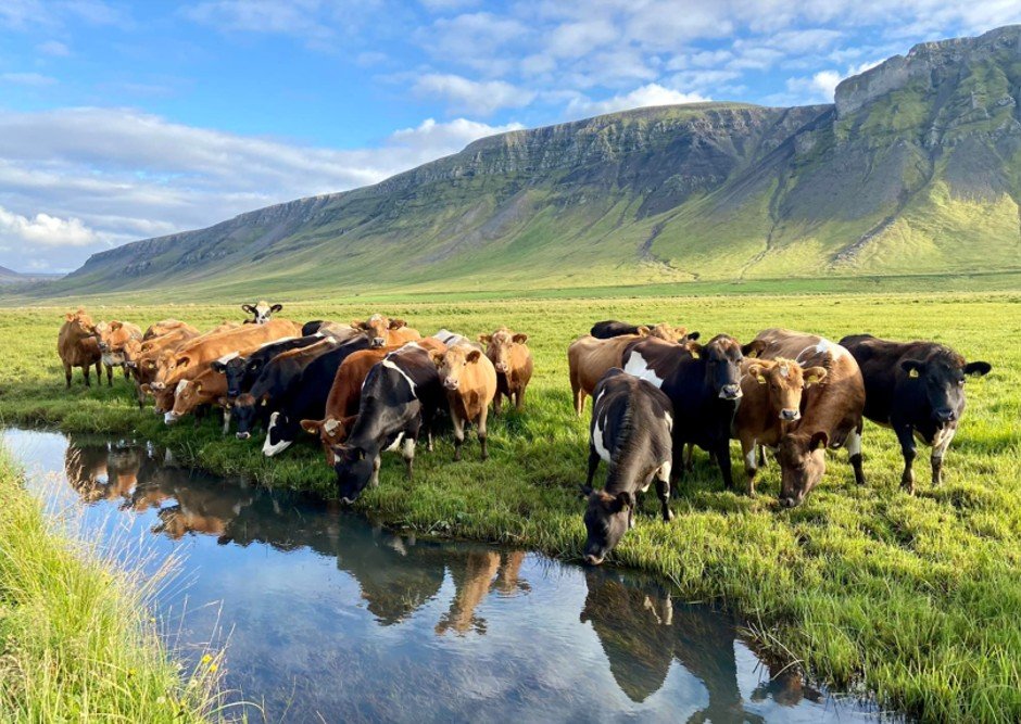 Fjárhagsáætlun Kjósarhrepps 2026-2029