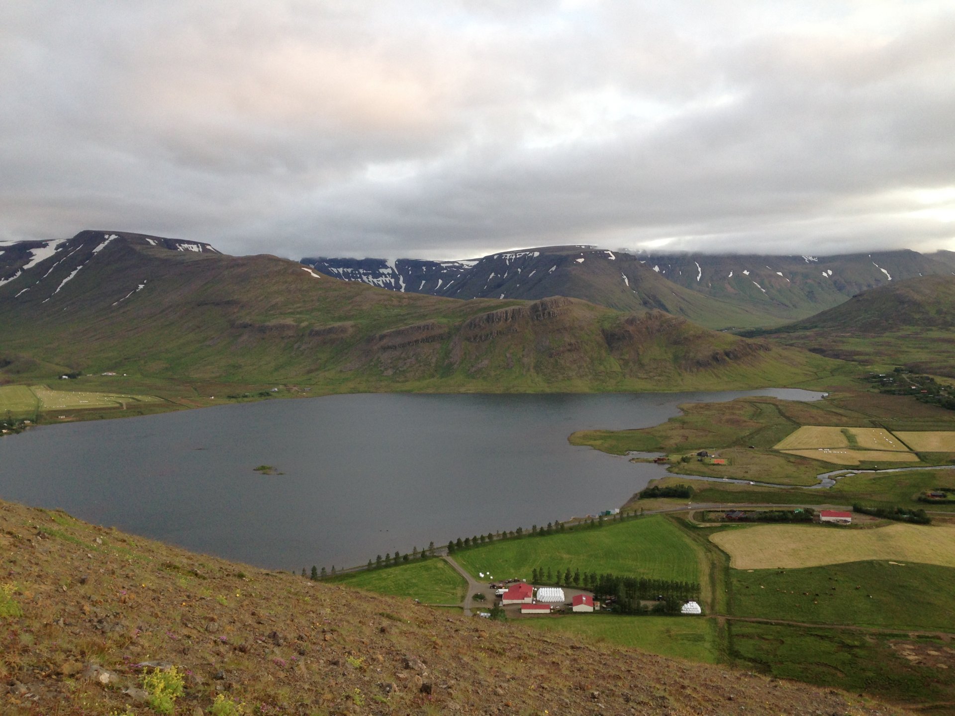 Sprettþraut í Kjós sunnudaginn 7. ágúst 2022