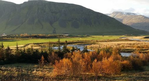 Heimsókn þingmanna í Kjördæmaviku