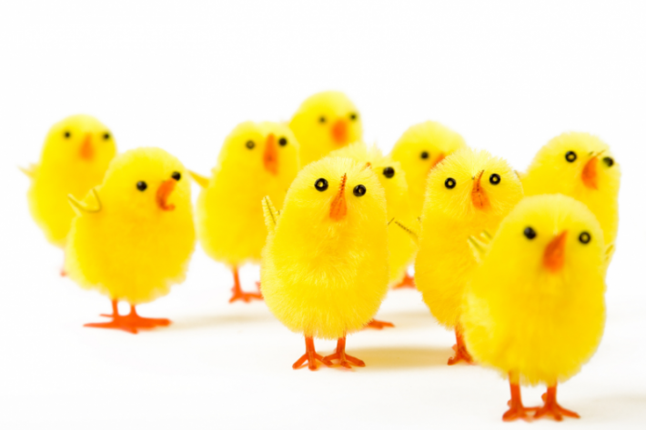 Opnunartími gámaplans yfir páskana