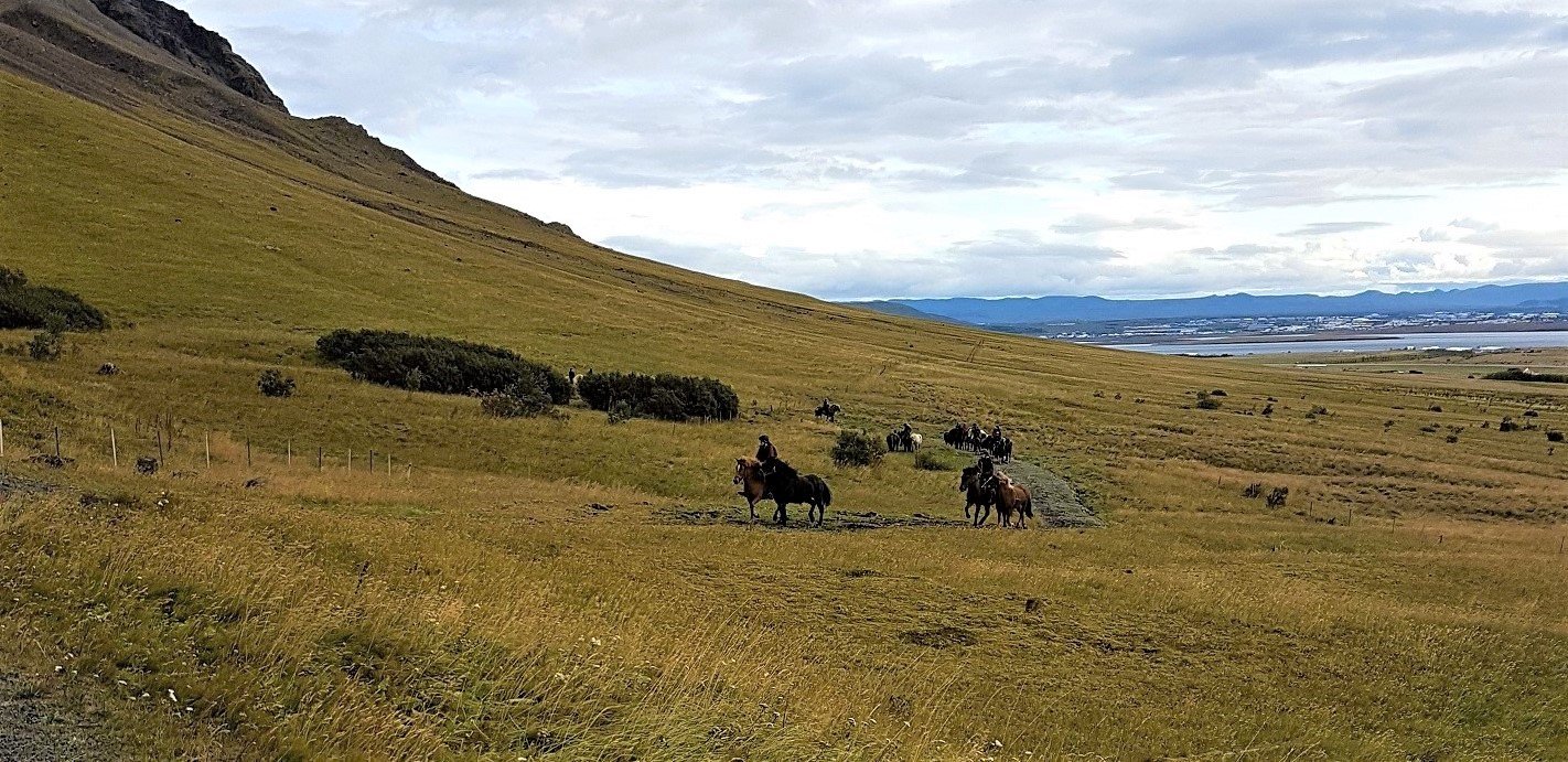 Reiðleið um Esljuhlíðar